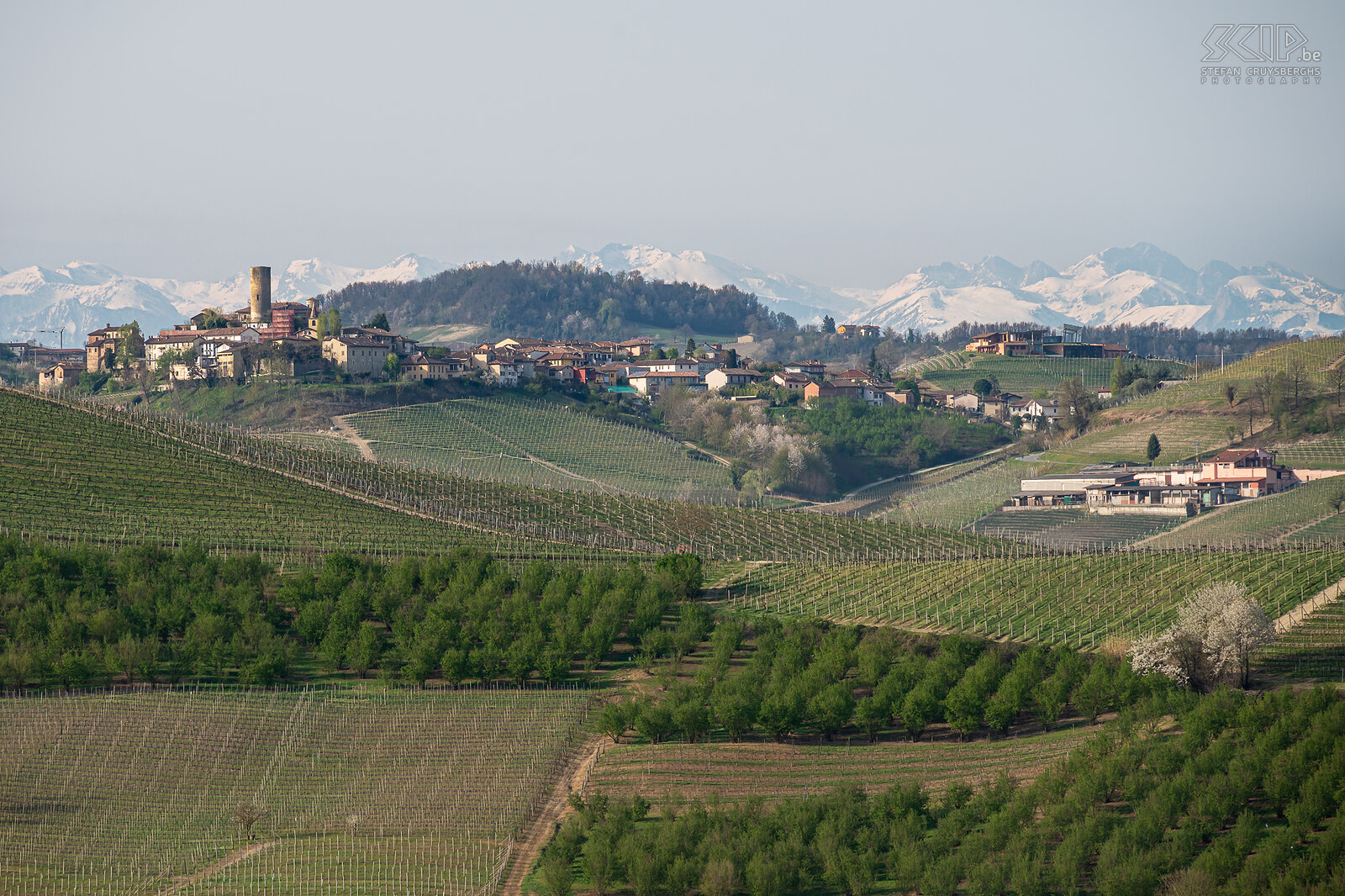 Langhe region The beautiful Langhe Roero Monferrato region with the many famous vineyards and picturesque villages on the hills and in the distance some snowy Alpine peaks Stefan Cruysberghs